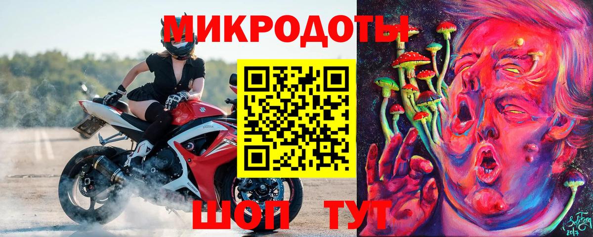 Скопин  Галлюциногенные грибы Psilocybe  Вход с VPN 